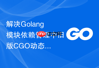 解决golang模块依赖管理中旧版cgo动态链接