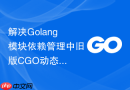 解决Golang模块依赖管理中旧版CGO动态链接