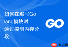 如何在编写Golang模块时通过控制内存分段机制减少堆外内存零碎开销