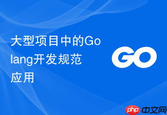 大型项目中的golang开发规范应用