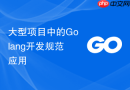 大型项目中的Golang开发规范应用