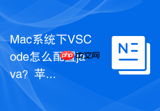 mac系统下vscode怎么配置java?苹果电脑配置指南