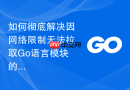 如何彻底解决因网络限制无法拉取go语言模块的痛点