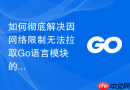 如何彻底解决因网络限制无法拉取Go语言模块的痛点
