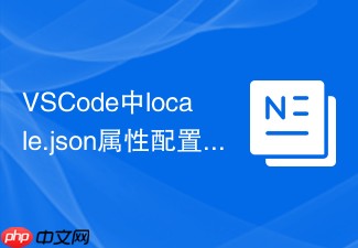 vscode中locale.json属性配置详细说明