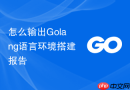 怎么输出Golang语言环境搭建报告
