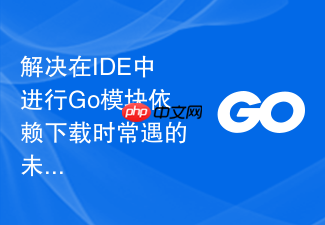 解决在ide中进行go模块依赖下载时常遇的未同步状态