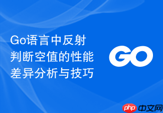 go语言中反射判断空值的性能差异分析与技巧