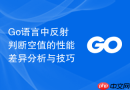 go语言中反射判断空值的性能差异分析与技巧