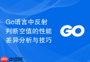 Go语言中反射判断空值的性能差异分析与技巧