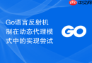 go语言反射机制在动态代理模式中的实现尝试