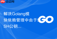 解决Golang模块依赖管理中由于SSH公钥未授权引发的PermissionDenied