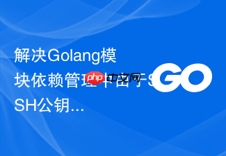 解决golang模块依赖管理中由于ssh公钥未授权引发的permissiondenied