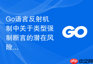 go语言反射机制中关于类型强制断言的潜在风险与控制