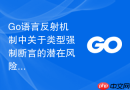 go语言反射机制中关于类型强制断言的潜在风险与控制
