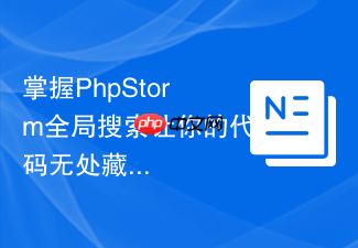 掌握phpstorm全局搜索让你的代码无处藏身