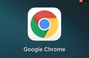 Google Chrome最新版怎么更新？手动升级操作步骤一览