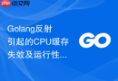 Golang反射引起的CPU缓存失效及运行性能损耗分析