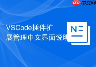 vscode插件扩展管理中文界面说明