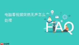 电脑看视频突然无声怎么处理
