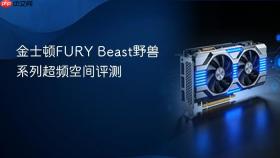 金士顿FURY Beast野兽系列超频空间评测