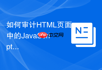 如何审计html页面中的javascript交互漏洞