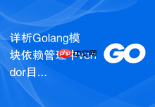 详析Golang模块依赖管理中vendor目录的利与弊