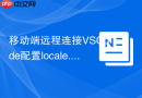 移动端远程连接vscode配置locale.json