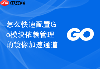 怎么快速配置go模块依赖管理的镜像加速通道