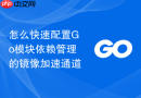 怎么快速配置go模块依赖管理的镜像加速通道