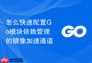 怎么快速配置Go模块依赖管理的镜像加速通道