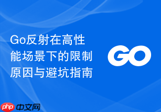go反射在高性能场景下的限制原因与避坑指南