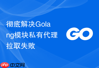 彻底解决golang模块私有代理拉取失败
