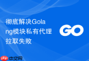 彻底解决golang模块私有代理拉取失败