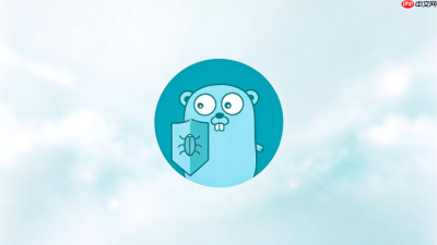 golangci-lint怎么回退历史版本?指定老版本安装步骤