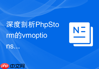 深度剖析phpstorm的vmoptions与性能之间的关系