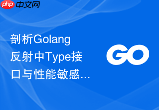 剖析golang反射中type接口与性能敏感代码的冲突