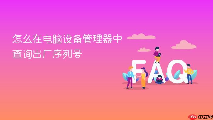 怎么在电脑设备管理器中查询出厂序列号