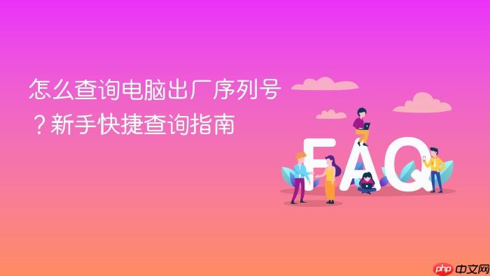 怎么查询电脑出厂序列号?新手快捷查询指南