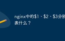 nginx中的$1、$2、$3分别代表什么？