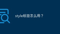 Wie verwende ich ein Style-Tag?