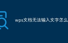 wps文档无法输入文字怎么办