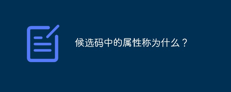 候補コードの属性は何と呼ばれますか?