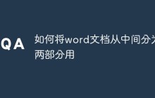 如何将word文档从中间分为两部分