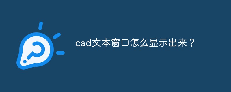 CAD 텍스트 창을 표시하는 방법은 무엇입니까?