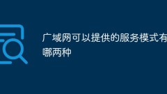 What are the two service modes that WAN can provide?