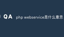 php webservice是什么意思