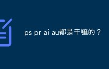 ps pr ai au都是干嘛的？