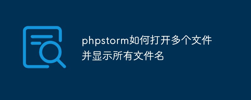 phpstorm如何打开多个文件并显示所有文件名