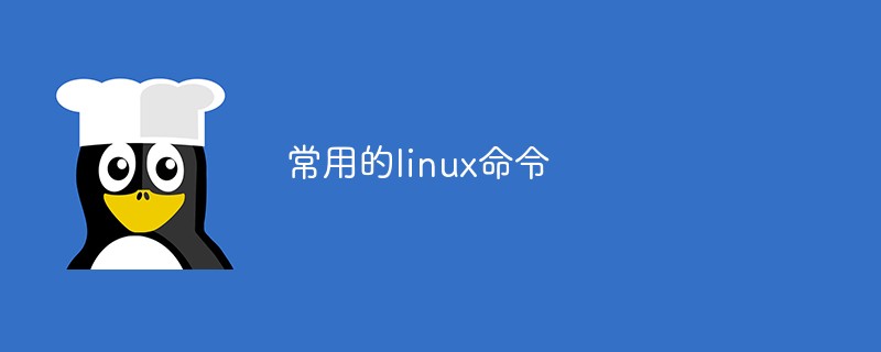 常用的linux命令